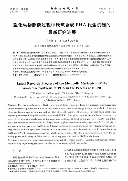 强化生物除磷过程中厌氧合成PHA代谢机制的最新研究进展