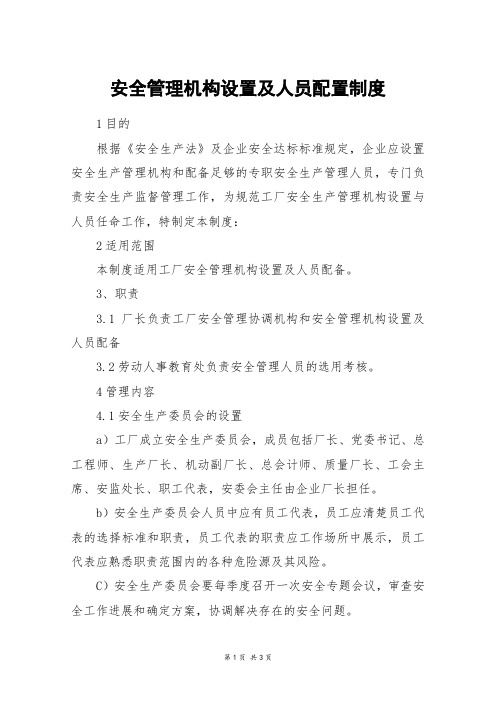 安全管理机构设置及人员配置制度