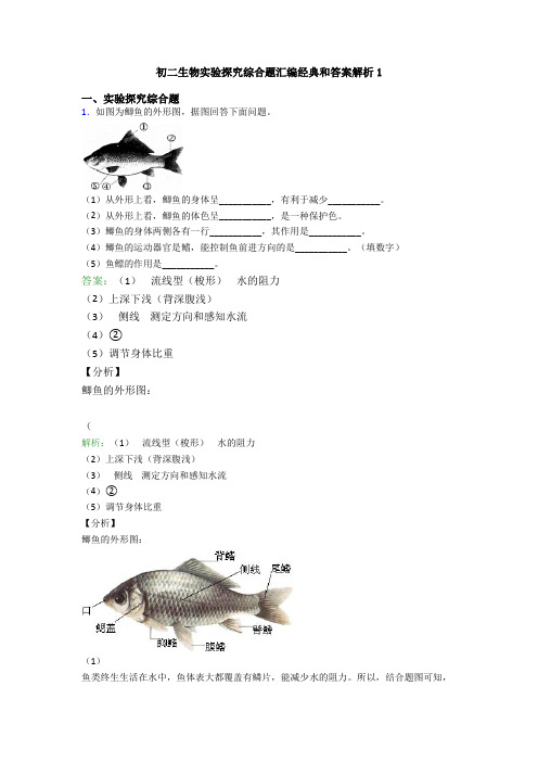 初二生物实验探究综合题汇编经典和答案解析1