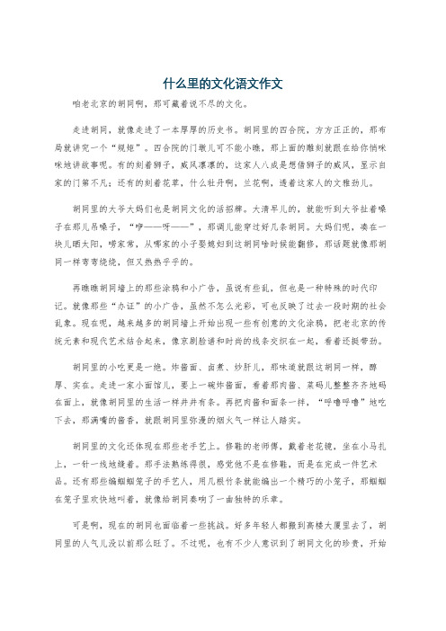 什么里的文化语文作文