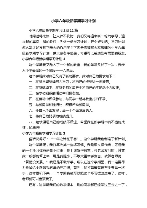 小学六年级新学期学习计划