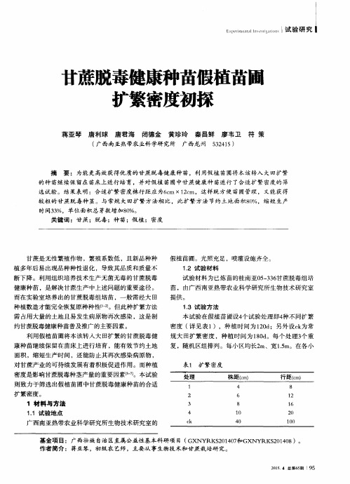 甘蔗脱毒健康种苗假植苗圃扩繁密度初探