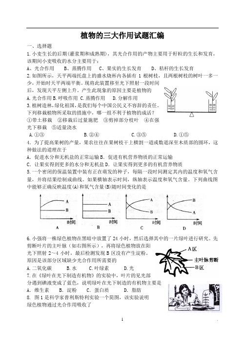 植物的三大作用试题汇编