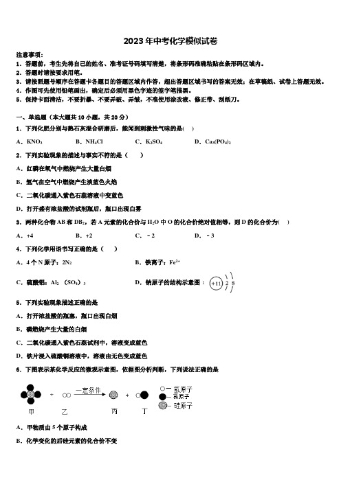 2023届江苏省苏州市工业园区星湾中学中考三模化学试题含解析