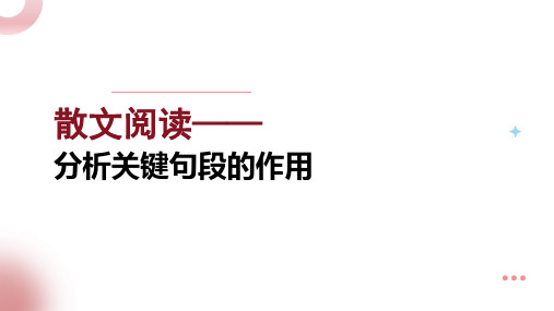 中考语文一轮复习专项：《散文阅读——分析关键句段的作用》课件