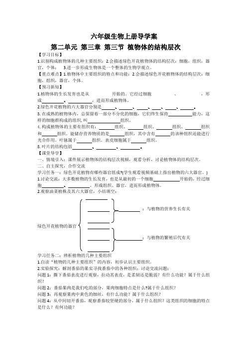 六年级生物上册《第三章 第三节 植物体的结构层次》导学案