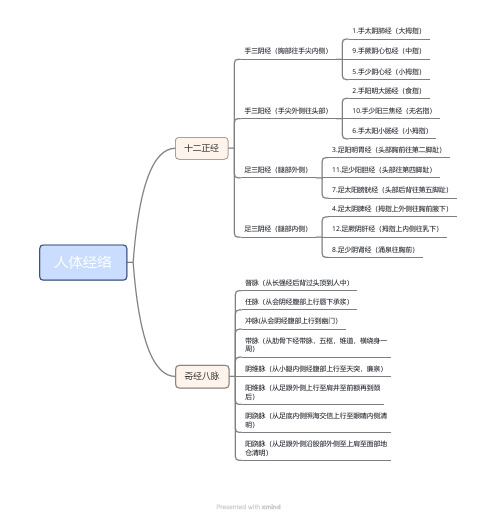 人体经络汇总