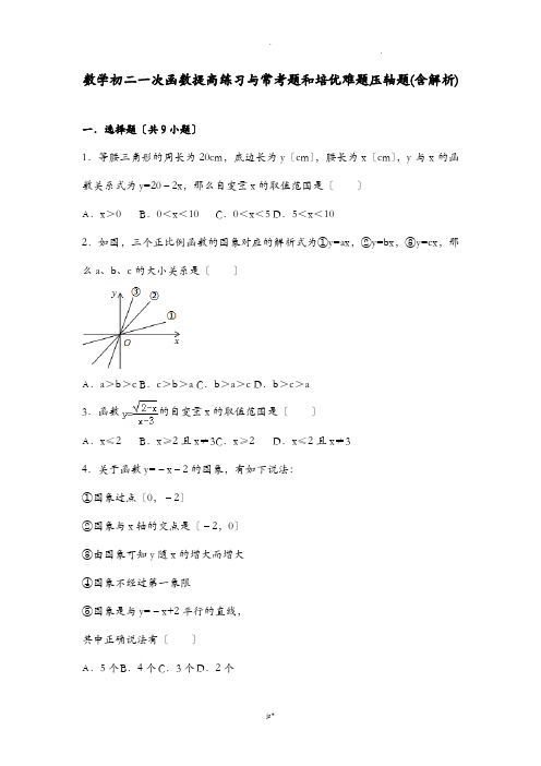 数学初二一次函数提高练习及常考题和培优难题压轴题含解析