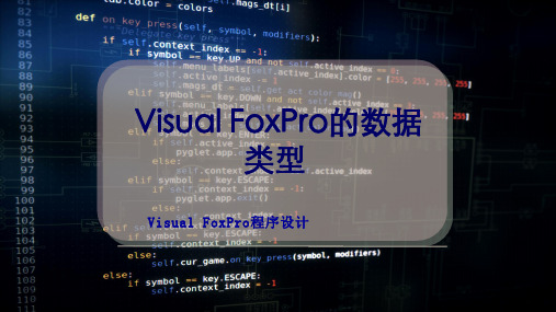 Visual FoxPro的数据类型