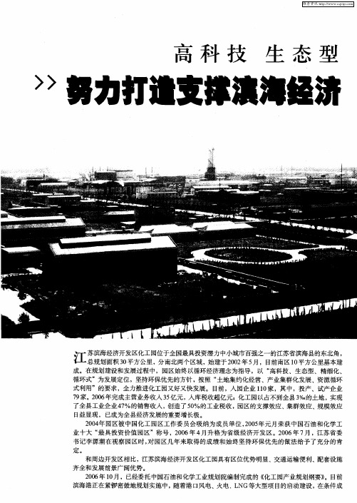 高科技 生态型 精细化 循环式——努力打造支撑滨海经济 半壁江山的大型生态化工园