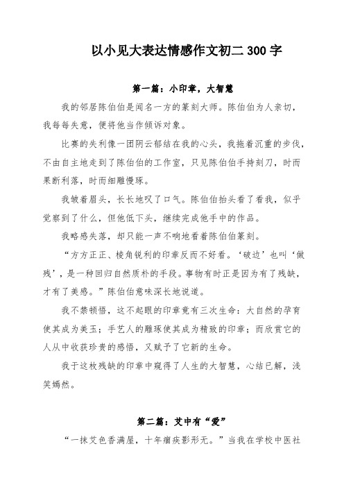 以小见大表达情感作文初二300字