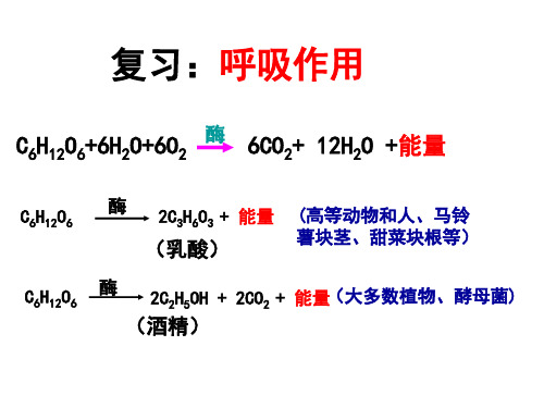 (完整版)第一轮光合作用一轮复习课件