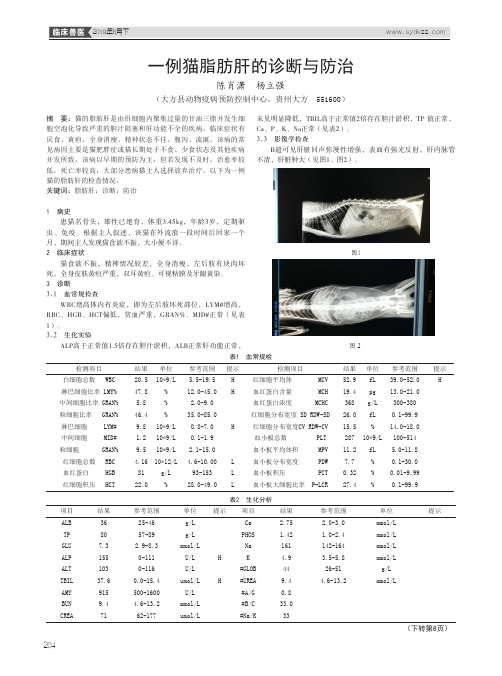 一例猫脂肪肝的诊断与防治