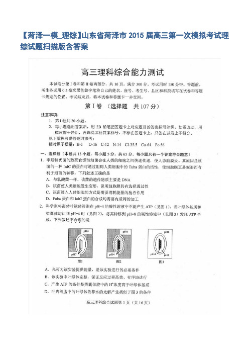 【菏泽一模_理综】山东省菏泽市2015届高三第一次模拟考试理综试题扫描版含答案【含纸答案完美版面】