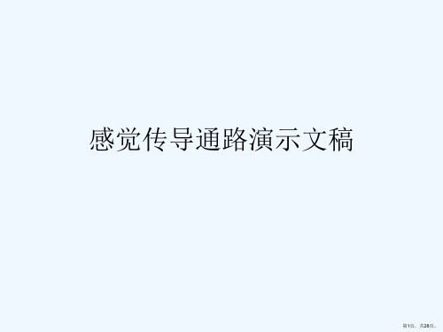 感觉传导通路演示文稿