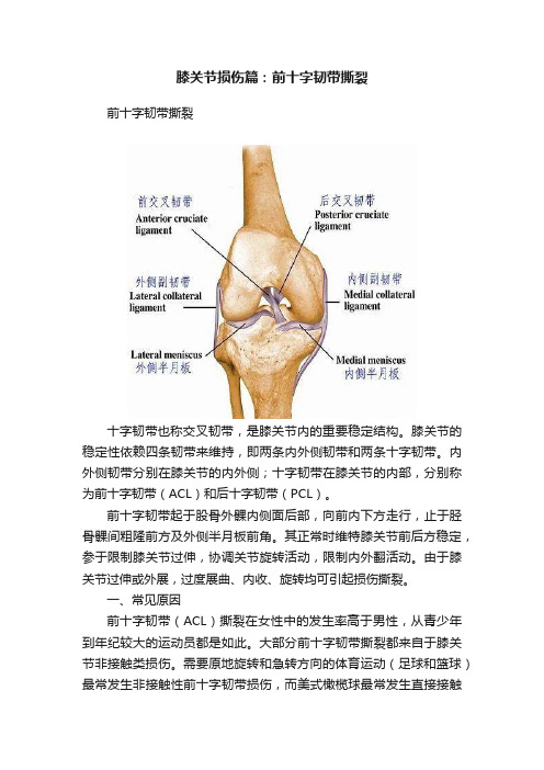 膝关节损伤篇：前十字韧带撕裂