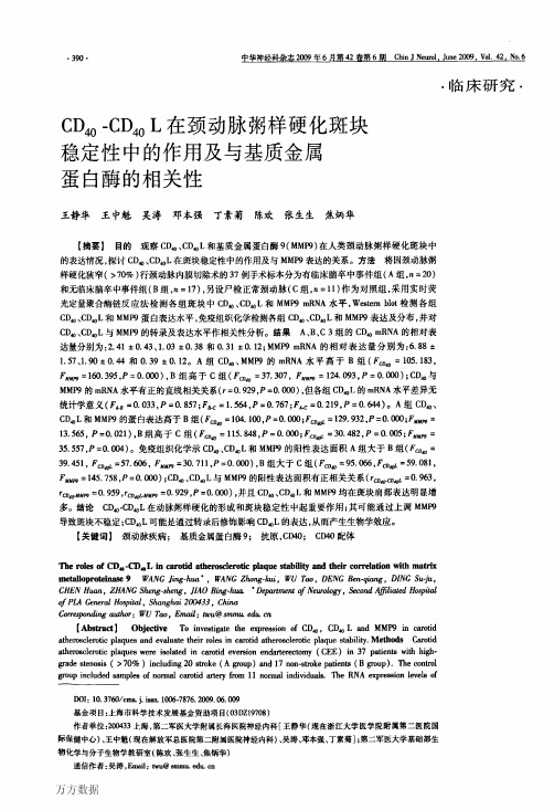 CD40-CD40+L在颈动脉粥样硬化斑块稳定性中的作用及与基质金属蛋白酶的相关性