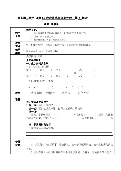 《我应该感到自豪才对》第一课时详案