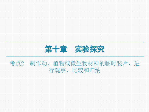 广东中考生物一轮复习课件：第十章-考点2 制作动、植物或微生物材料的临时装片,进行观察、比较和归纳