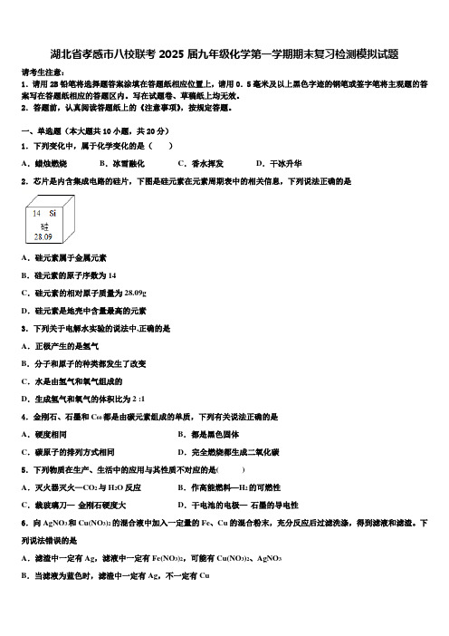 湖北省孝感市八校联考2025届九年级化学第一学期期末复习检测模拟试题含解析