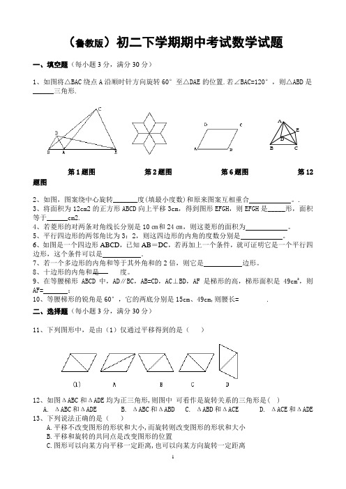 鲁教版初二下学期期中考试数学试题