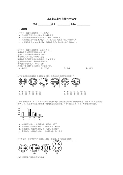 山东高二高中生物月考试卷带答案解析
