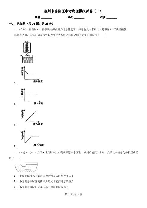 惠州市惠阳区中考物理模拟试卷(一)