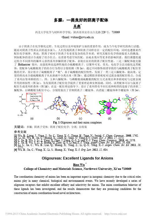 多脲_一类良好的阴离子配体_吴彪
