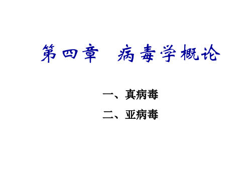 《微生物与免疫学》病毒学概论 ppt课件