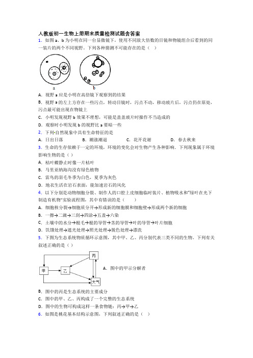 人教版初一生物上册期末质量检测试题含答案