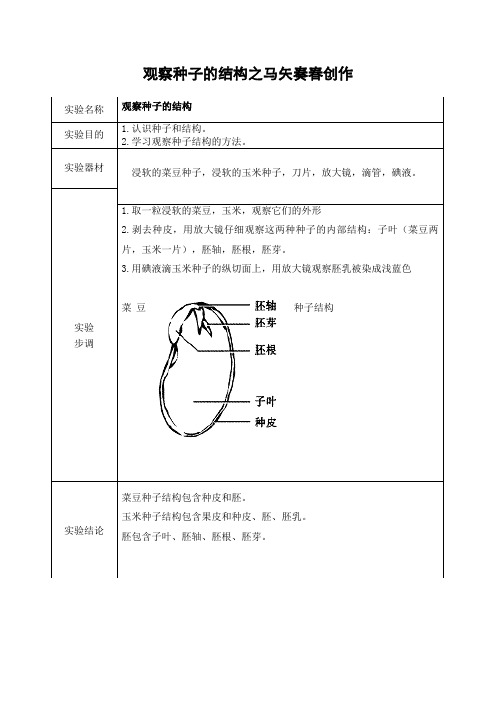 观察种子的结构实验报告