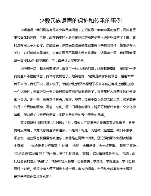 少数民族语言的保护和传承的事例