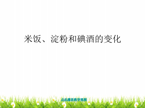 最新科教版科学六年级下册《米饭、淀粉和碘酒的变化》精品课件