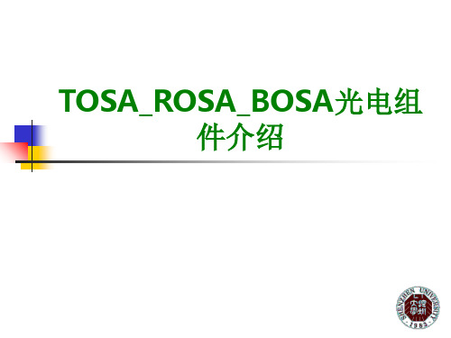 TOSAROSABOSA光电组件介绍经典课件