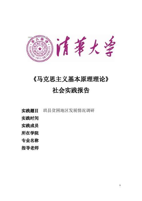 马原实践报告