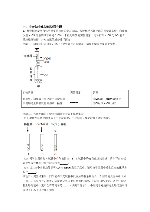 2020-2021中考化学专题《探究题》综合检测试卷及详细答案