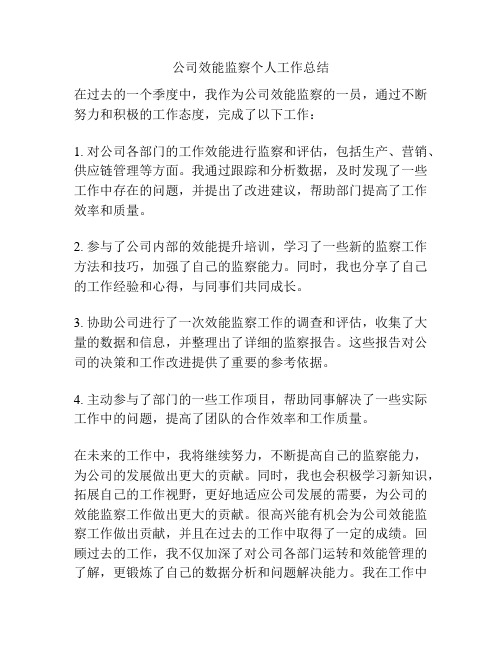 公司效能监察个人工作总结