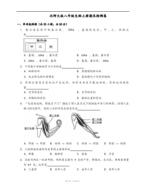 北师大版八年级上册生物期末检测卷(word版,含答案解析)