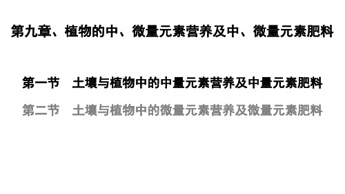 植物的中、微量元素营养及中、微量元素肥料