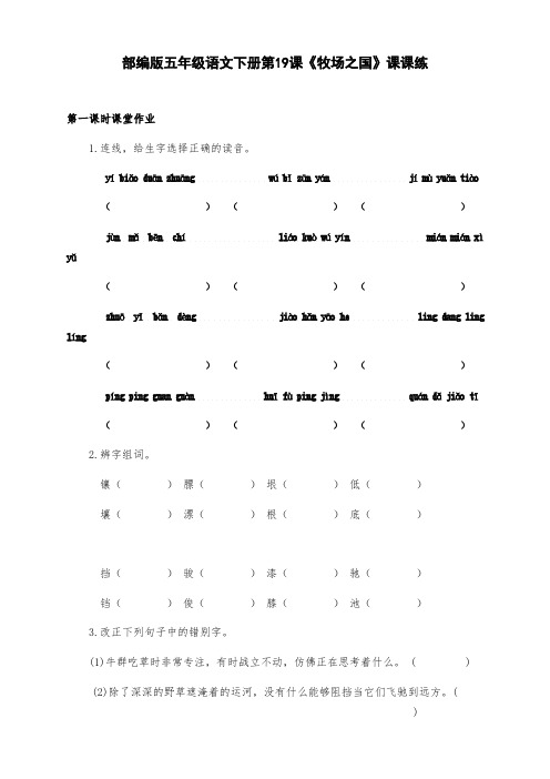 新部编版五年级语文下册第19课《牧场之国》课课练(附答案)