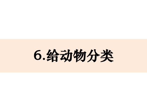 一年级下册科学课件-2-6《给动物分类》教科版(共17张PPT) 修订