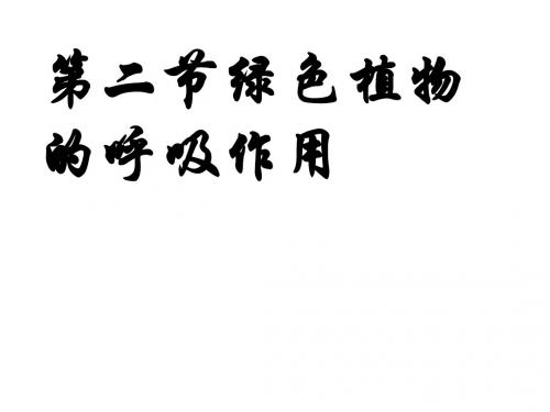 七年级生物上册 3.5.2 绿色植物的呼吸作用课件 (新版)新人教版