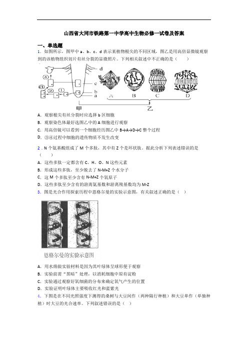 山西省大同市铁路第一中学高中生物必修一试卷及答案