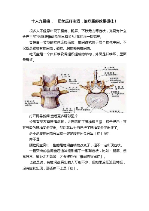 十人九腰痛，一把丝瓜籽泡酒，治疗腰疼效果极佳！