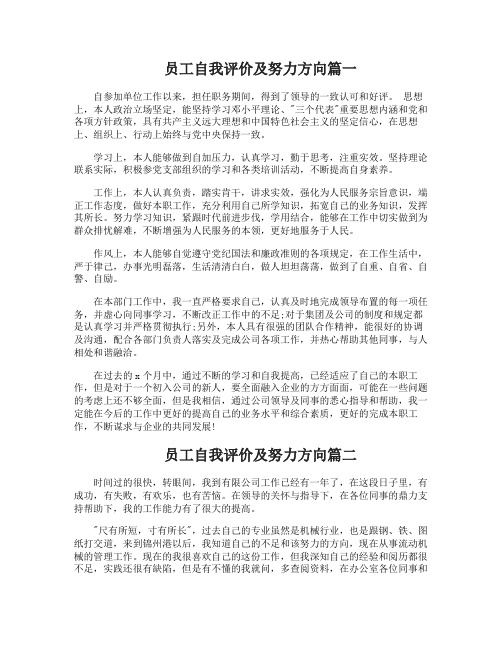 员工自我评价及努力方向员工自我评价和工作目标