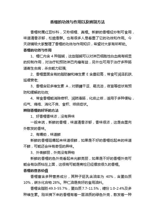 香榧的功效与作用以及辨别方法