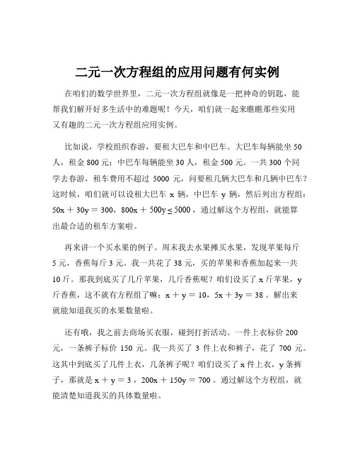 二元一次方程组的应用问题有何实例