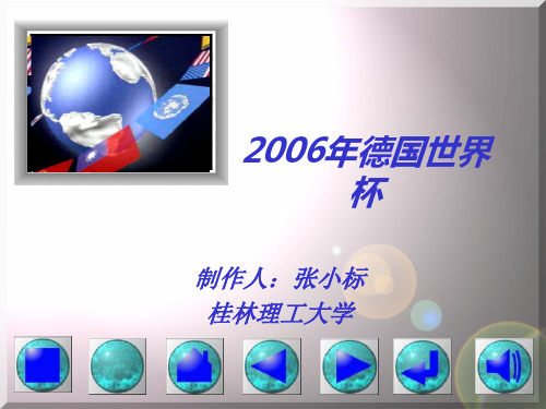 2006年德国世界杯案例分析8