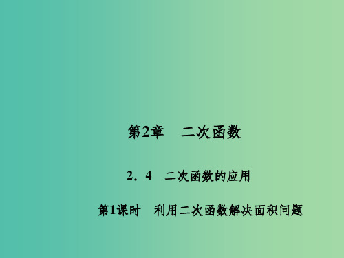 九年级数学下册 第2章 二次函数 2.4 利用二次函数解决面积问题(第1课时)课件 (新版)北师大版