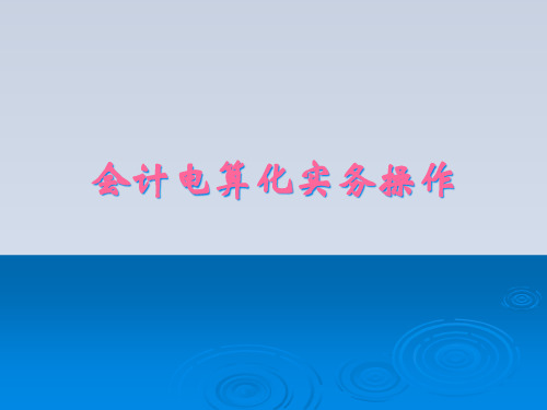 2023-吉林会计电算化实务操作演示